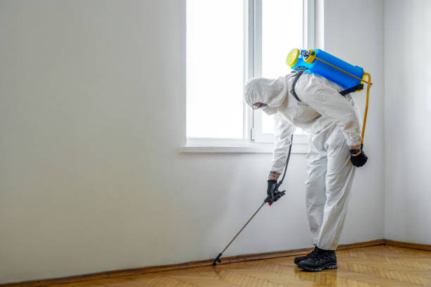 Best Termite Inspection and Treatment  in Larchmont, NY